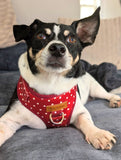 Red Polka Dot AllSet™ Harness – Adjustable Bliss (D Ring)