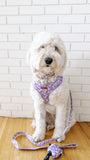 Purple Daisy AllSet™ Harness Matching Bundle