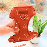 Ambar Suns Dappertie™ - Mega Bundle Match (D Ring)