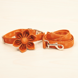 Ambar Suns Signature Band™ + Slide-On Bloomtie™ + Joyline™