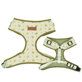 best dog harness