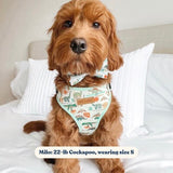 unique bowtie dog collars and leashes