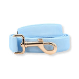 best dog leash