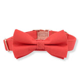 dog bow tie collar