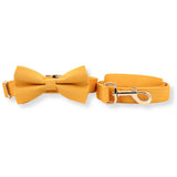 best dog bowtie collar and leash set