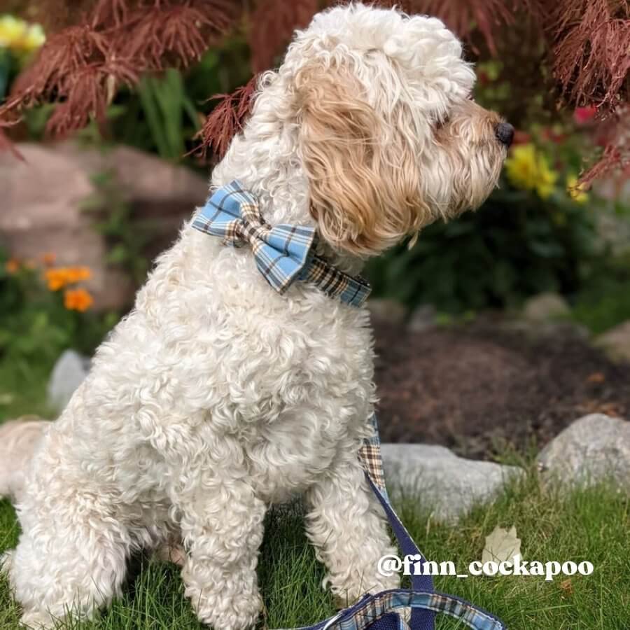 Blue Plaid Unbreakable Leash™