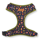 best dog harness for large dogs