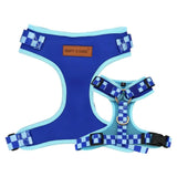 dog harness and leash set
