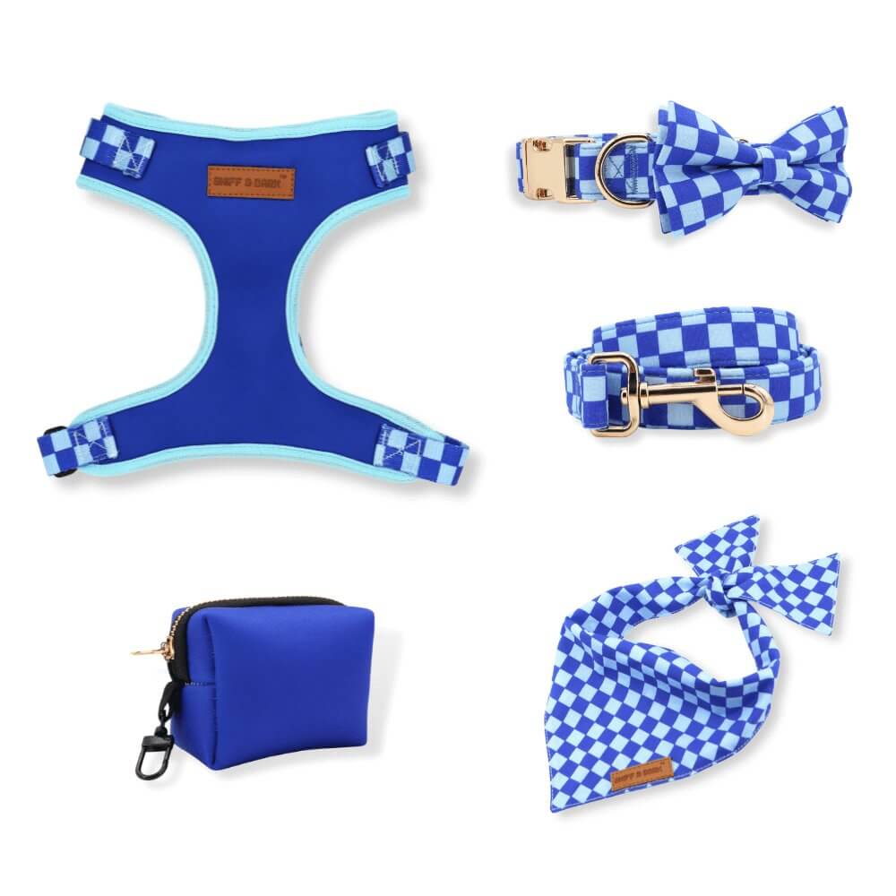 Checker Blue