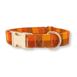 designer dog collars