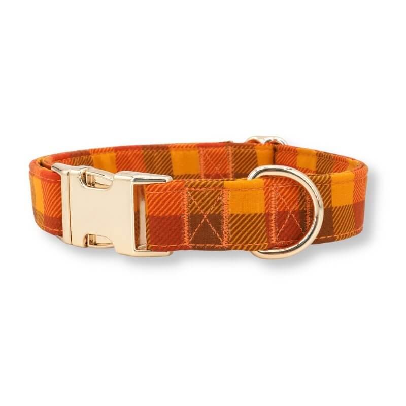 designer dog collars