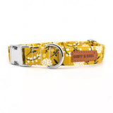 designer dog collars