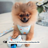most comfortable dog harness
