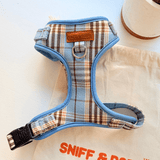 Blue Teddy Plaid AllSet™ Harness – Adjustable Bliss (D Ring)