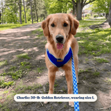 Checker Blue AllSet™ Harness – Adjustable Bliss