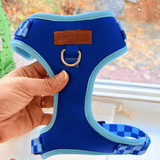 Checker Blue Dappertie™ - Mega Bundle Match (D Ring)