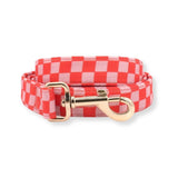 cute dog leash