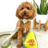 dogs leash