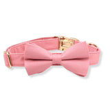 dog bow tie attach to collar