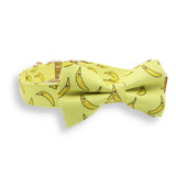bow tie collar for dogs
