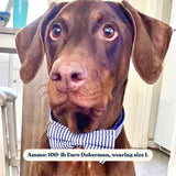 dog collar bow