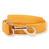leashes for dogs