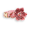 dog collar with flower
