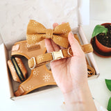 Ambar Suns Signature Band™ - Crafted Collar
