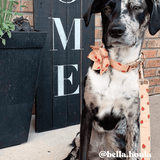 Rosie Strawberry Signature Bloomtie™ - Flower Tie