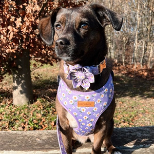 Purple Daisy Lockable Harness™