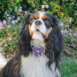 Purple Daisy Signature Bloomtie™ - Flower Tie