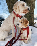 Red Polka Dot Signature Band™ - Crafted Collar