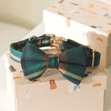 Gentleman Dappertie™ – Sleek Slide-On Bowtie