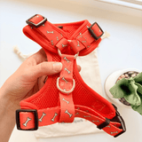 Coral Fetch Dappertie™ - Mega Bundle Match (D Ring)