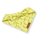 Bandanas for Dogs