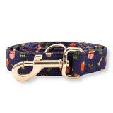dog leash for walking