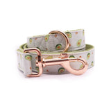 best dog leash