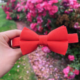 dog collar with bow