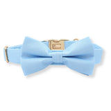dog bow tie