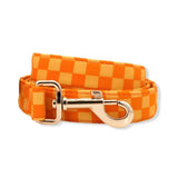 cute dog leash