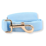 cute dog leash