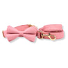 bowtie collar and leash set