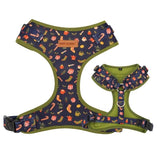best dog harness