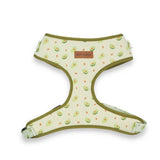 best dog harness for small dogs