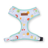 best dog harness for small dogs