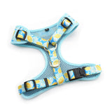 Sunny Lemons Dappertie™ - Mega Bundle Match
