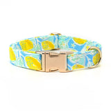 Sunny Lemons Dappertie™ - Mega Bundle Match