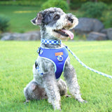 Checker Blue Dappertie™ - Mega Bundle Match (D Ring)