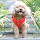 Coral Fetch Dappertie™ - Mega Bundle Match (D Ring)