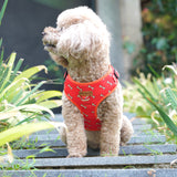 Coral Fetch Dappertie™ - Mega Bundle Match (D Ring)